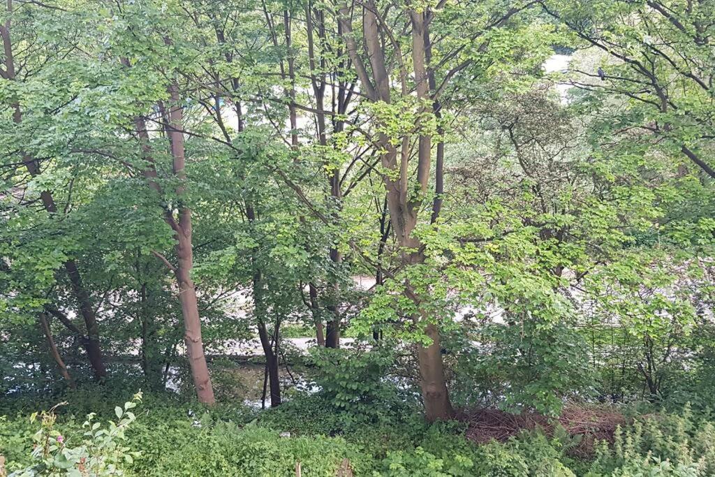 Bowie'S Abode Sowerby Bridge Bagian luar foto